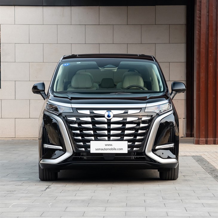 BYD Denza D9 2024 DM-i 980 four-wheel drive premium model