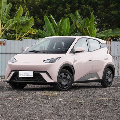 Mini elektrické auto BYD Seagull