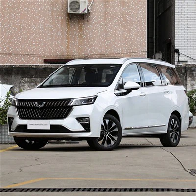 Wuling Jiachen 2.0 Automatický 7-MPV Seat